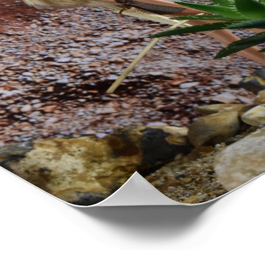 Scouter l'itinéraire. affiche (Coin)