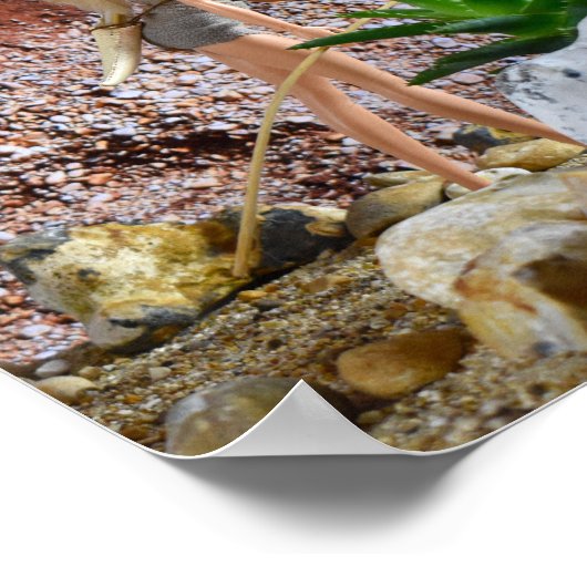 Scouter l'itinéraire. affiche (Coin)