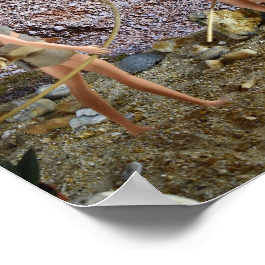 Scouter l'itinéraire. affiche (Coin)