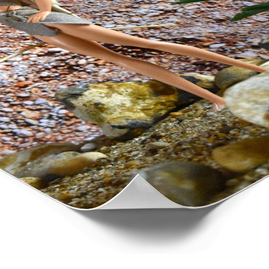 Scouter l'itinéraire. affiche (Coin)