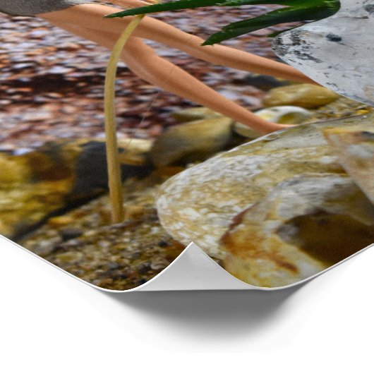 Scouter l'itinéraire. affiche (Coin)