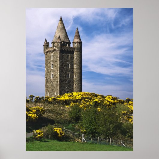 Scrabo Tower Poster (Voorkant)