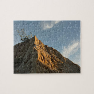 Scraggly Torrey Pine bij Sunset California Coast Legpuzzel
