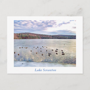 Scranton PA-Lake Scranton Post Kaart-Ducks Briefkaart