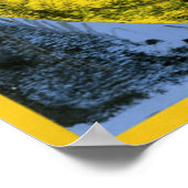 Scratch Poster (Hoek)