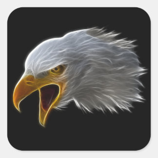 Screaming American Bald Eagle Head Vierkante Sticker