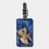 Screaming Chihuahua Bagagelabel (Voorkant verticaal)