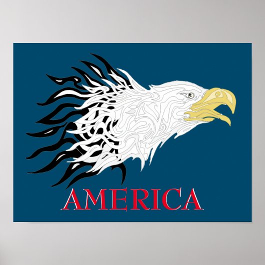 Screaming Eagle America Poster (Voorkant)