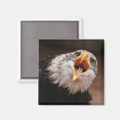 Screaming Eagle Magnet Magneet (Voorkant / Achterkant)