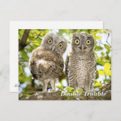 Screech Owls Chicken Briefkaart (Voorkant / Achterkant)