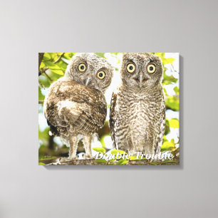 Screech Owls Chicken Canvas Afdruk