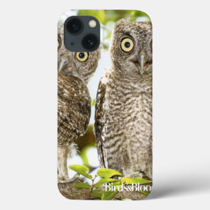 Screech Owls Chicken iPhone 13 Hoesje