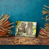 Screech Owls Chicken Fotoplaat (Zijkant)