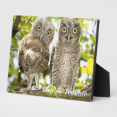 Screech Owls Chicken Fotoplaat (Zijkant)