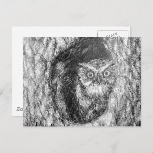 Screech Ownership Owl Charcoal Black & White Teken Briefkaart (Voorkant / Achterkant)