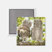 Screech Uilen Kuikens 2 Magneet (Voorkant / Achterkant)