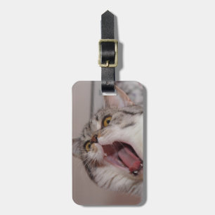 Screening British Shorthair Bagagelabel