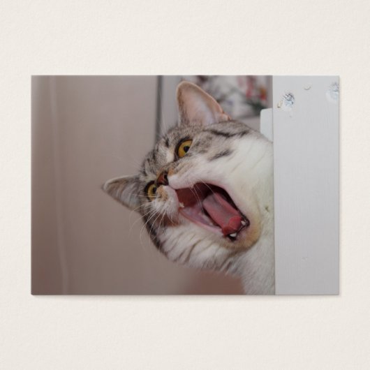 Screening British Shorthair Visitekaartje (Voorkant)