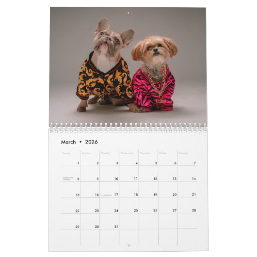 Script Calligraphy Newly Wed Photo Dusty Blue Kalender (Mar 2026)