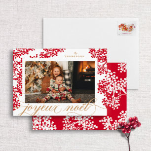 Script Joyeux Noel Red Berries Carte photo