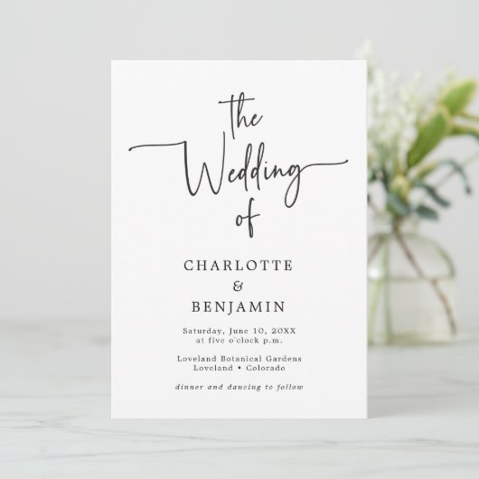 Script Moderne minimaliste invitation mariage (Debout devant)