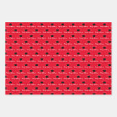 Script Naam Afstudeerdopje Klasse Jaar Rood Inpakpapier Vel (Voorkant 2)