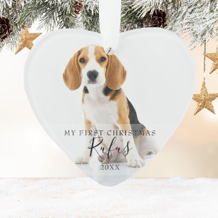 Script pour les premières photos de Noël de votre