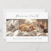 Script Vrede op Aarde Meowy Kerst Kat Foto Feestdagenkaart (Voorkant)