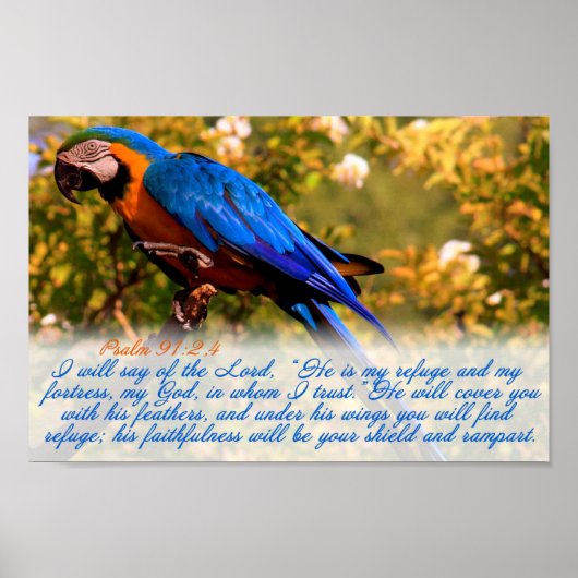 Scriptafdrukken: psalm 91:2,4 met Blue Macaw Poster (Voorkant)