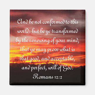 Scriptmagneet Magneet