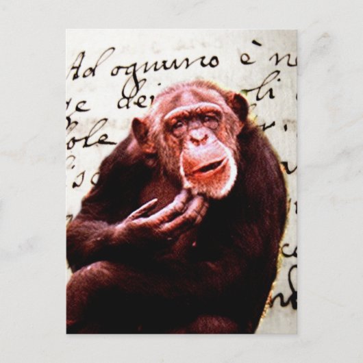  scripts grappig Chimpansee Briefkaart (Voorkant)