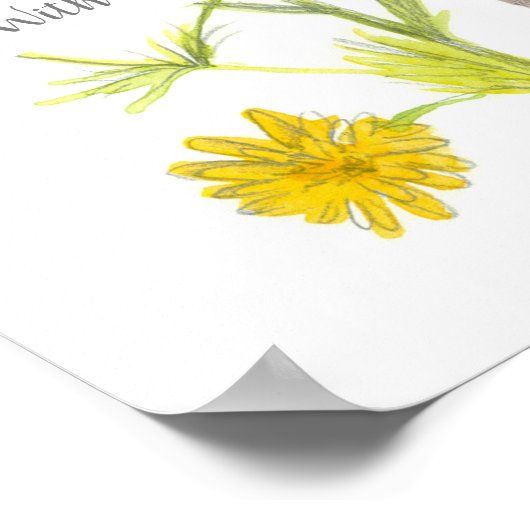 Scripture Matthew 19:26 Bijbelse Chamomile Poster (Hoek)