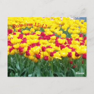 Scripture Meditation Card Romans 15:13 Briefkaart