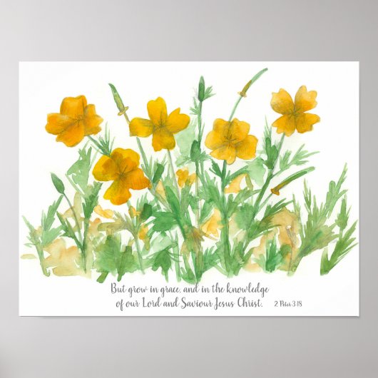 Scripture Peter 3:18 Bible Verse California Poppy Poster (Voorkant)
