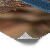 Scrub Jay Poster (Hoek)