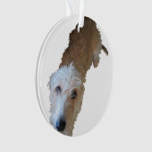 Scruffy Dog Ornament (voorkant)