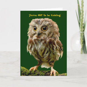 Scruffy Owl verjaardagskaart Kaart