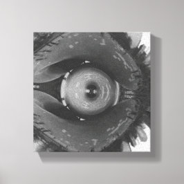 Scrunched Chicago Eye Canvas Afdruk