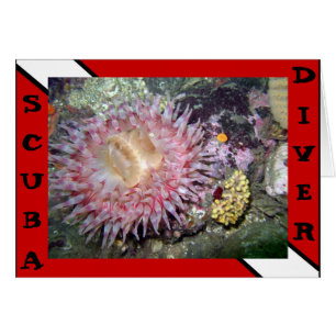 Scuba Diver Anemone Card