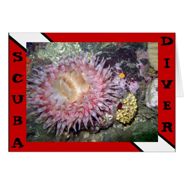 Scuba Diver Anemone Card (Voorkant Horizontaal)