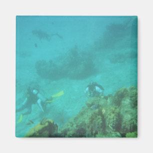 Scuba Divers Dream Magnet Magneet