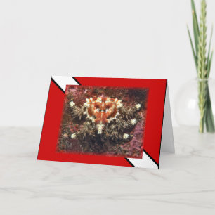 Scuba Diving Heart Crab - Kaart