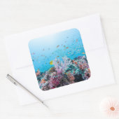 Scuba duiken met kleurrijk rif en koraal vierkante sticker (Envelop)