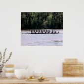 Scullers op de Potomac Poster (Keuken)