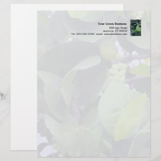 Sculptural Leaves briefhoofd