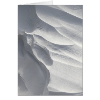 Sculpture de dérive des neiges d'hiver