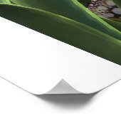 Scummy Fishtank Poster (Hoek)