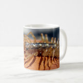 Scutigera coleoptrata Bug Mug (Devant droit)