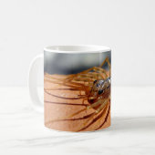 Scutigera coleoptrata Bug Mug (Devant gauche)