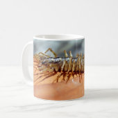 Scutigera Coleoptrata Bug Mug (Devant gauche)